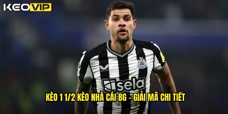 Kèo 1 1/2 kèo nhà cái bg - Giải mã chi tiết