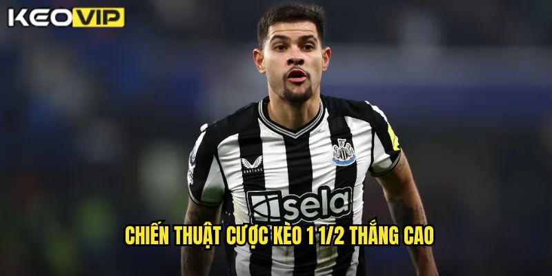 Chiến thuật cược kèo 1 1/2 thắng cao